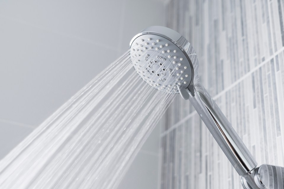 Switching your shower head for a eco version could save cash - and you can get one for free