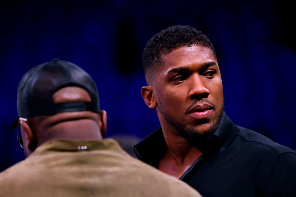 Anthony Joshua has hit back at online critics