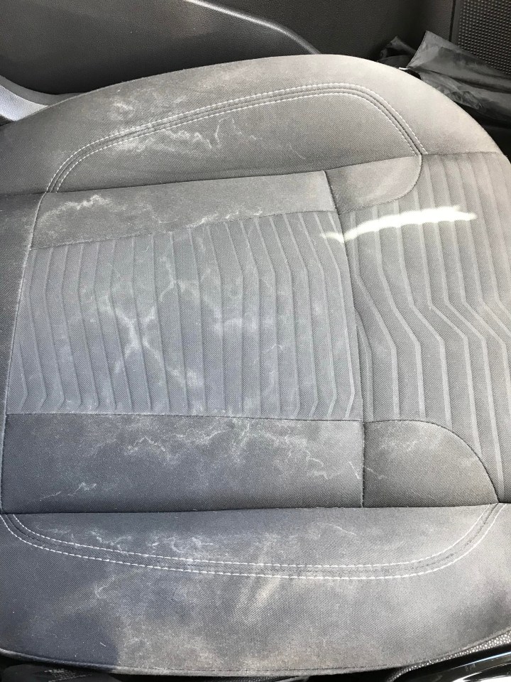 A driver was desperate to clean her filthy car seats