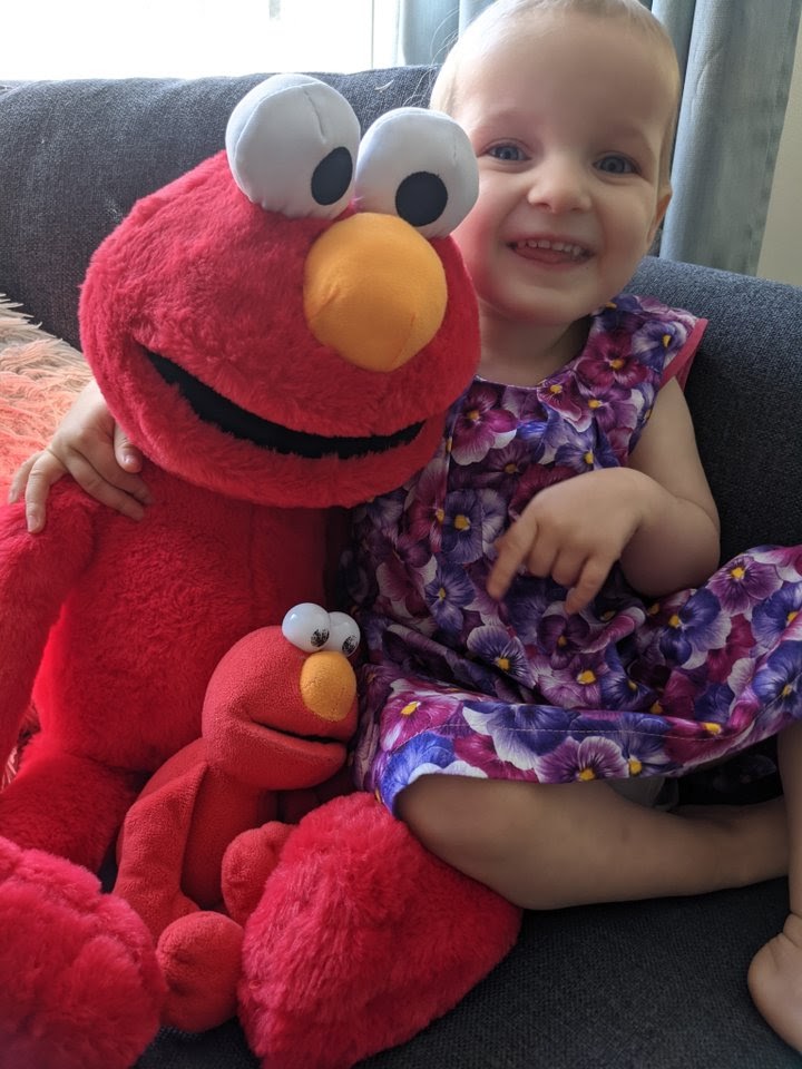 Megan loves Elmo - and so dad Rhys is running the Cardiff Half Marathon dressed as the furry character