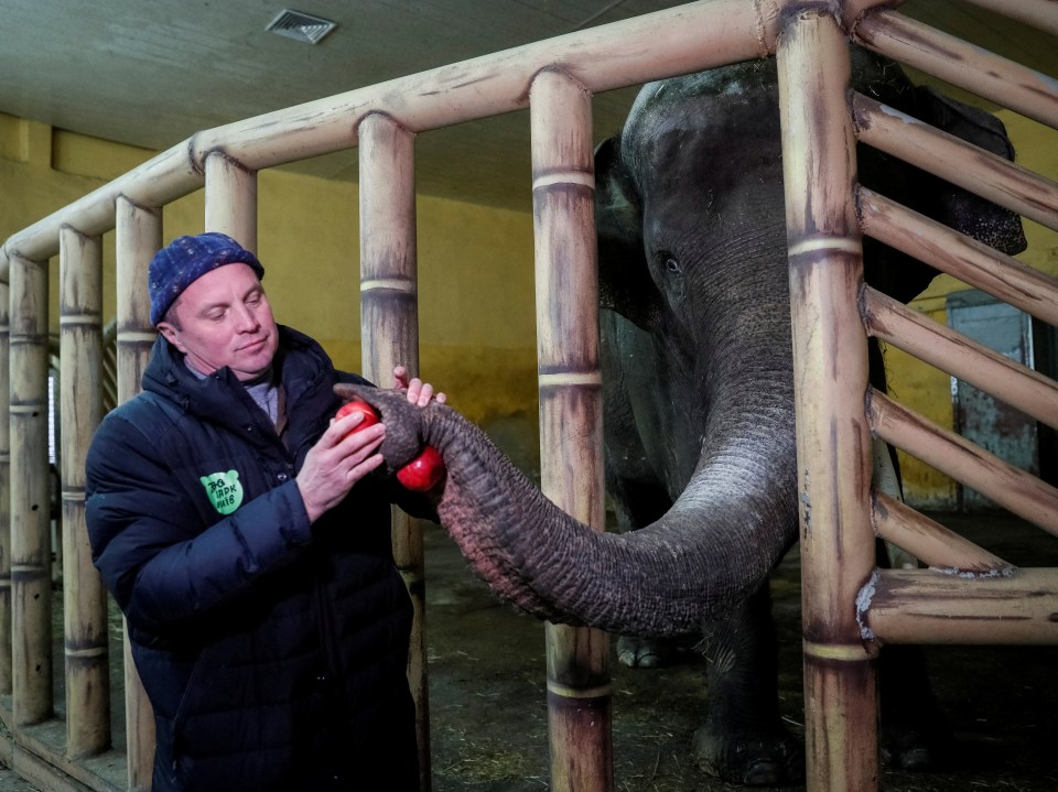 Many staff at Kyiv Zoo have moved on-site to care for tormented animals as the war rages on