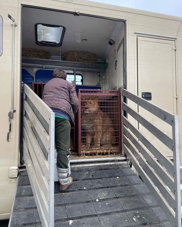 Several animals have been evacuated to the Poznan Zoo in Poland