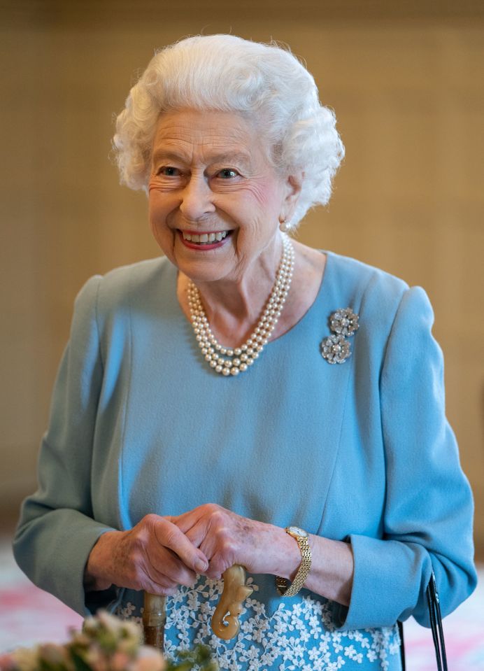 Her Majesty was introduced to Lilibet over video chat