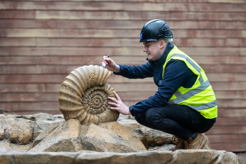 Dinosaur lovers can get up close and personal with some new giant fossils in the Andy's Adventures Dinosaur Dig