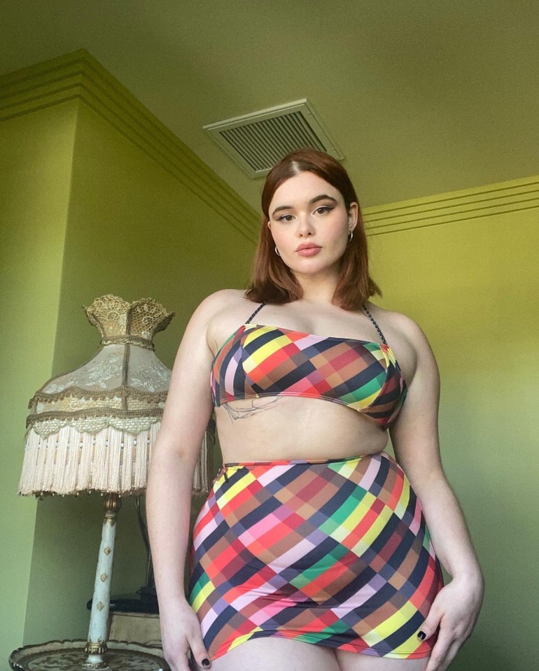 Barbie Ferreira is an actress and model who stars in Euphoria