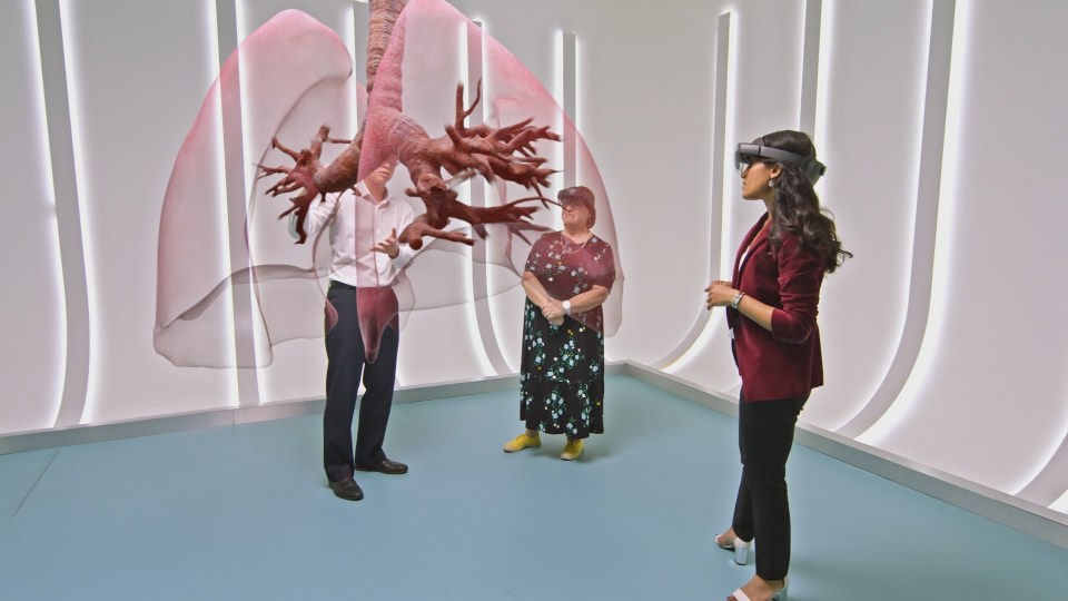 The lungs of a Covid patient, Rozi, taken from scans of her body