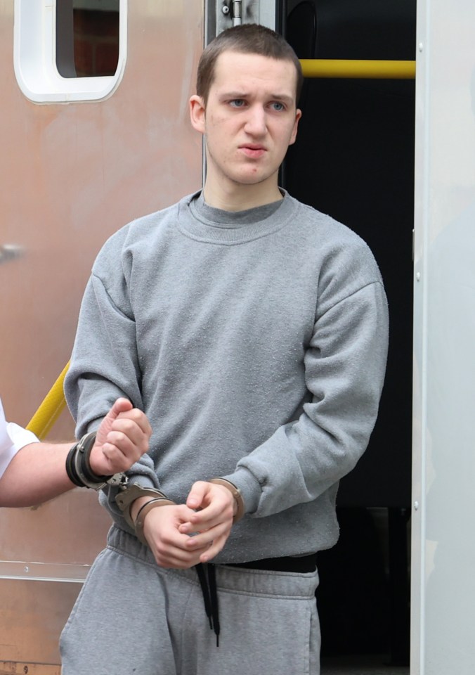 Dreimanis has been jailed after the rampage