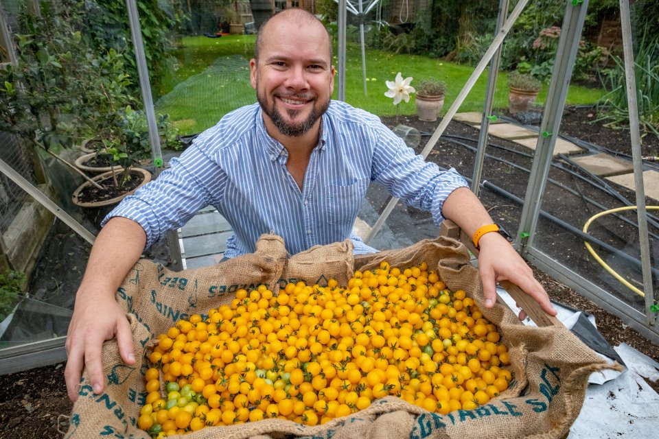 Gardener Douglas Smith smashed his own world record by growing 1,269 tomatoes on a single stem