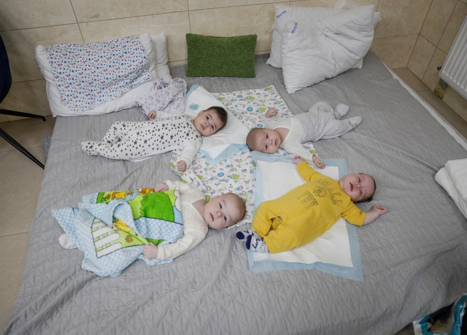 Surrogate-born babies are being cared for at a special shelter on the outskirts of Kyiv