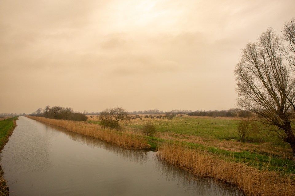 Murky orange skies seen over the Cambridgeshire Fens this afternoon