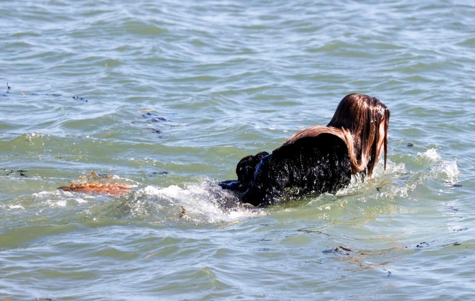 She desperately fights to drag her back to shore