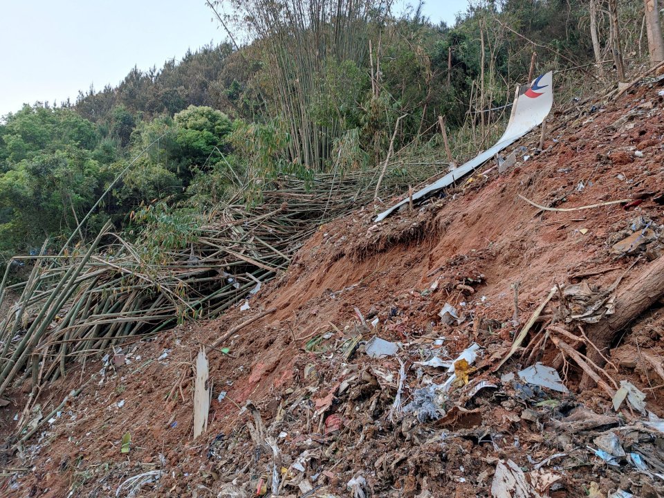 Pictures from the crash site show fallen trees and debris scattered everywhere