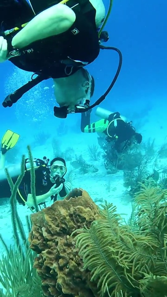 The royal pair admired the barrier reef in Belize