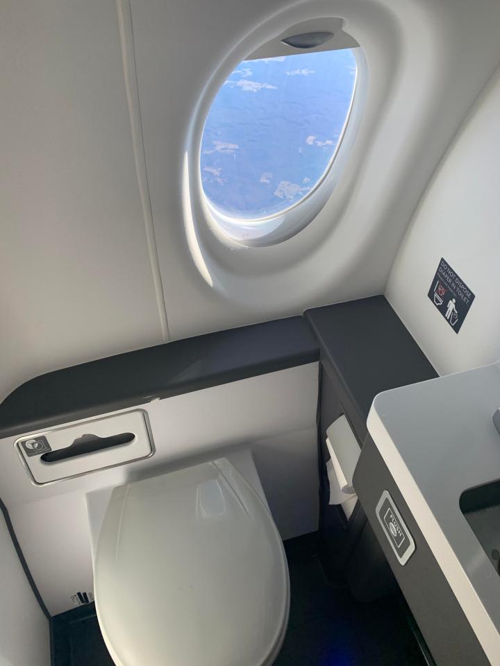 A Reddit user posted a picture of a plane toilet that had a window - a feature that is unheard of in most plane bathrooms