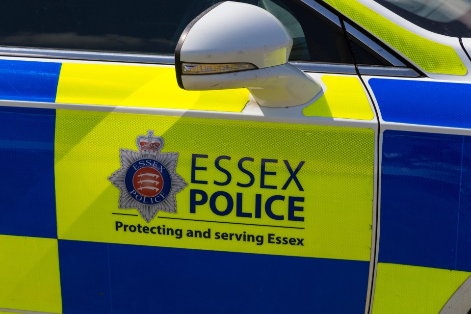 Two top police officers have been suspended from Essex Police in sexual misconduct probes