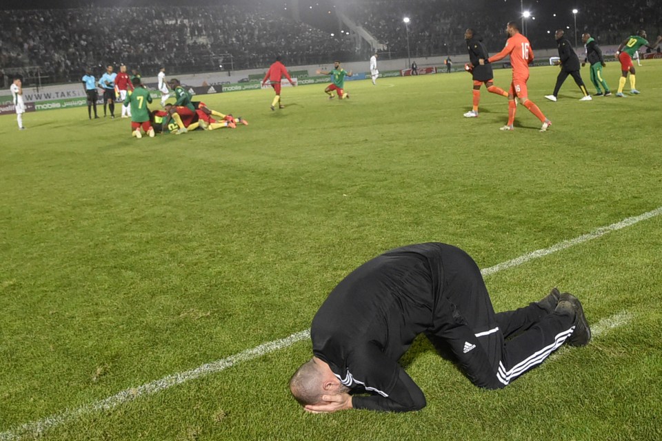 Coach Djamel Belmadi sinks to his knees at the final whistle