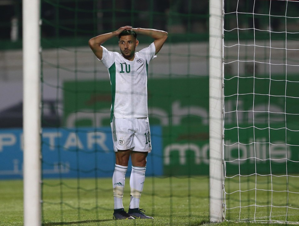 Algeria were left devastated by their late defeat