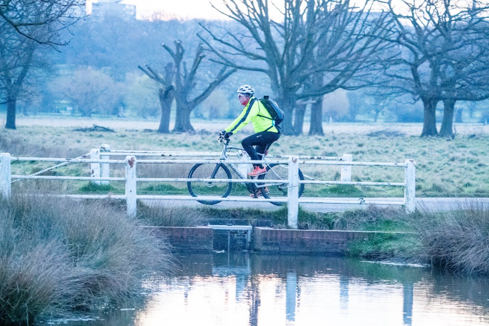 An extremely cold Richmond Park this morning after a bitterly cold evening