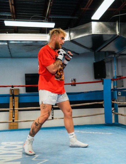 Jake Paul training for his boxing return