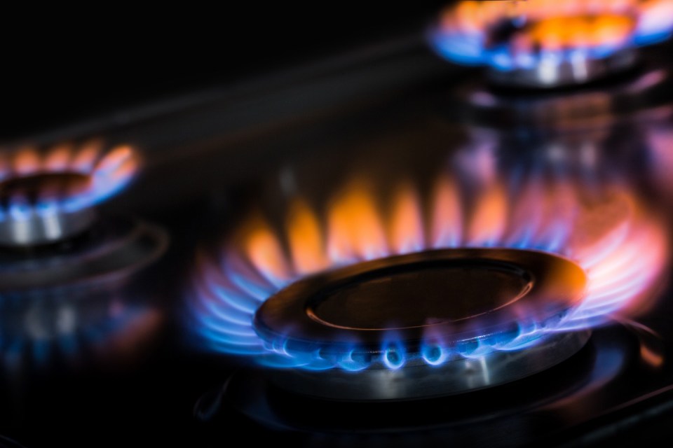 The energy price cap will rise in April, adding £693 a year on to the average bill