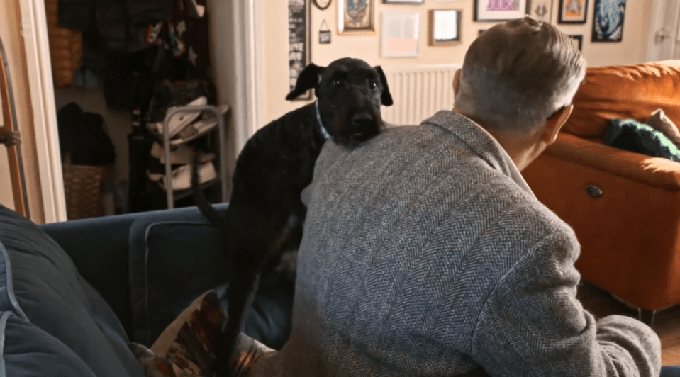 Fox terrier cross Ralf jumps, nips and humps any guest at owner Toni's house