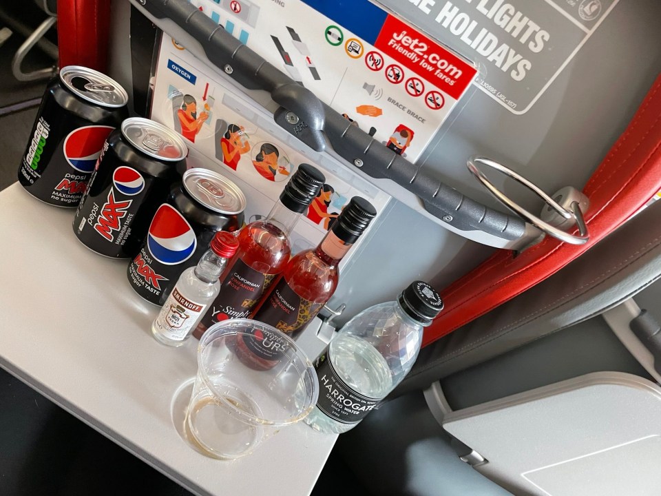 The reality star splashed out on booze on the plane