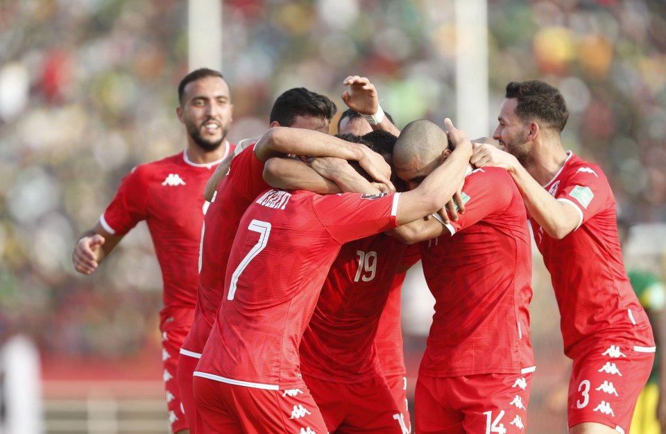 Tunisia only needed one goal to beat Mali in the first leg of their World Cup qualifier