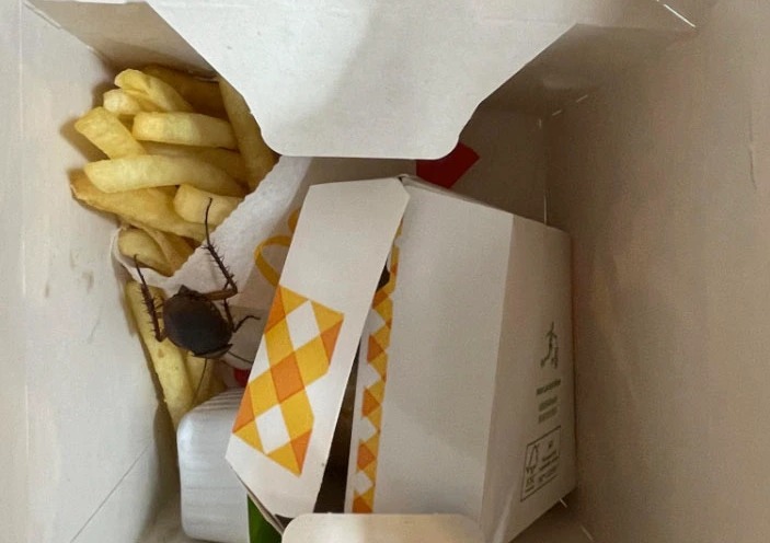 Images shared to Reddit show a feral bug climbing on top of the man's hot chips