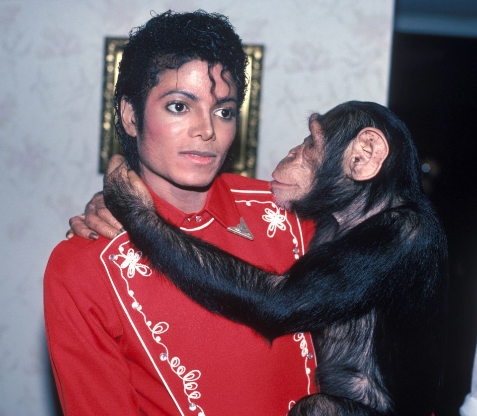 Michael Jackson and Bubbles the Chimp were once the best of pals