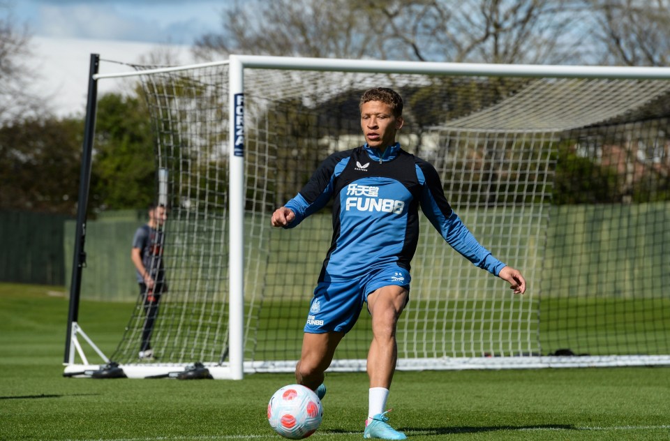 Dwight Gayle has been praised by Eddie Howe for being one of the club's best performing players in training