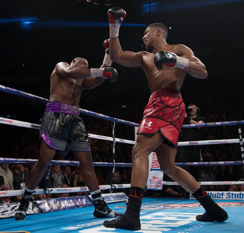 Anthony Joshua knocked out Dillian Whyte in 2015