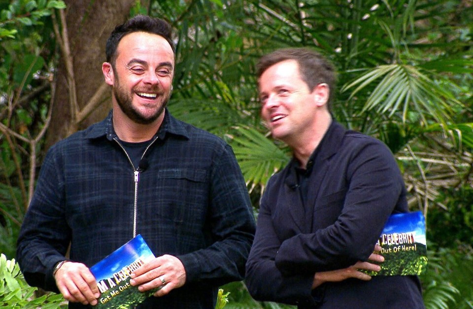 I'm A Celeb's Ant and Dec will reunite legendary campmates in a spin-off series later this year