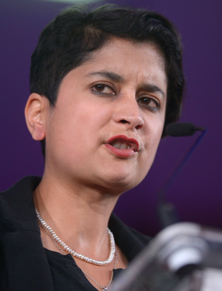 Among opponents was Labour peer Baroness Chakrabarti, who said the Bill was a 'clampdown on non-violent dissent'