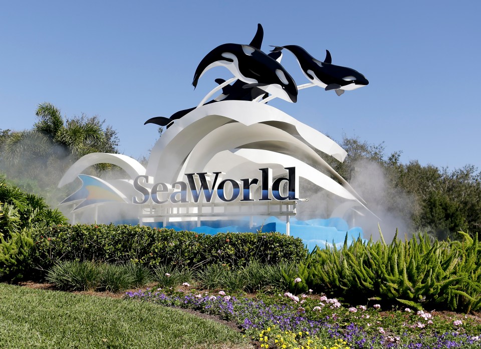 SeaWorld ended human-orca performances in 2010