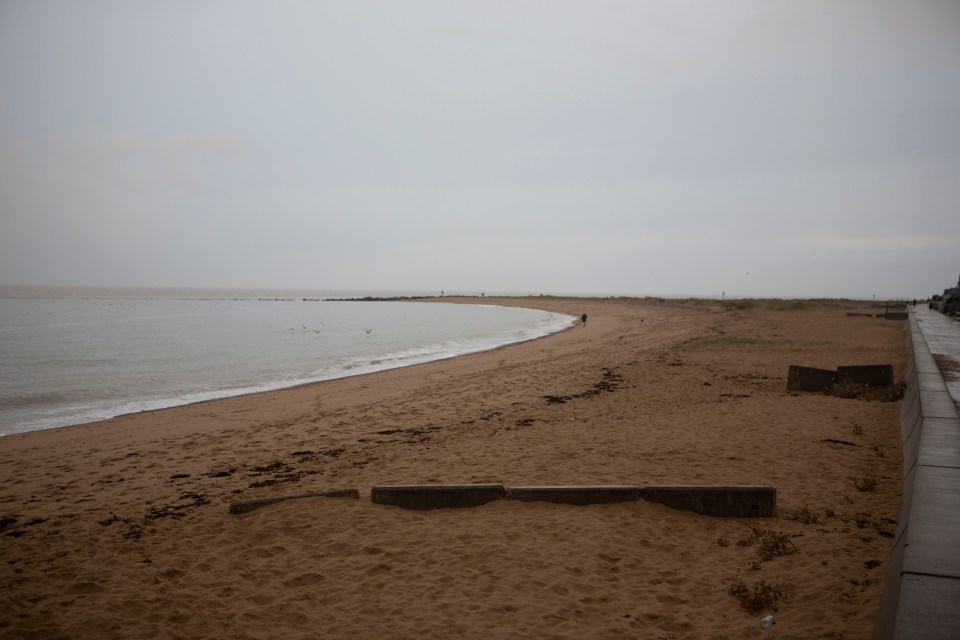 Jaywick Sands Beach could be at risk of an infestation of toxic caterpillars