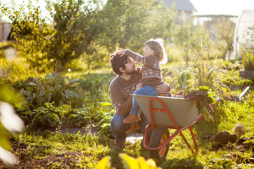 A whopping new poll of mums, dads, grannie and granddads found that little ones love getting outdoors to help with the gardening