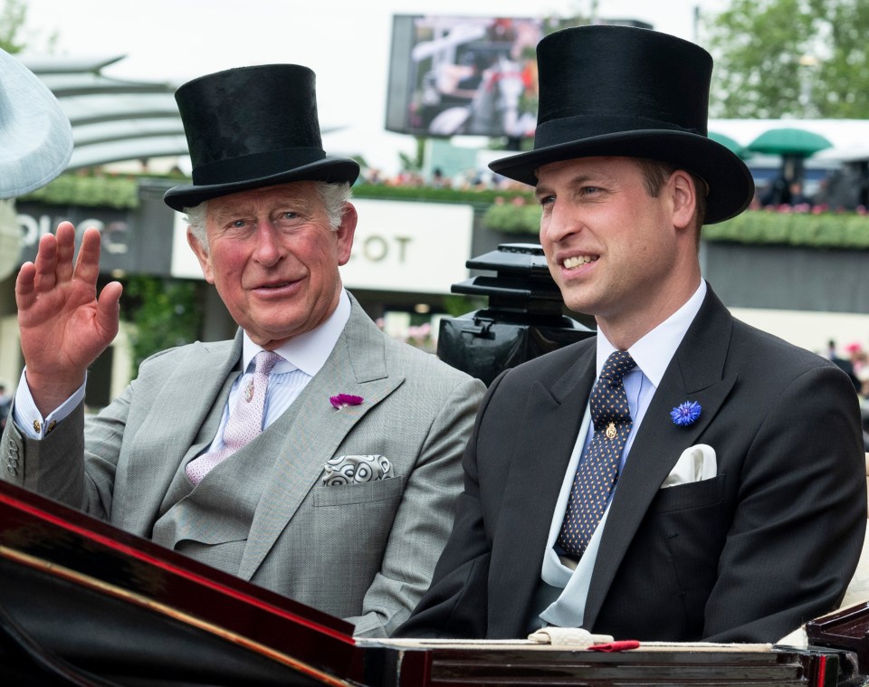 Princes Charles and William are unlikely to enjoy Harry's autobiography