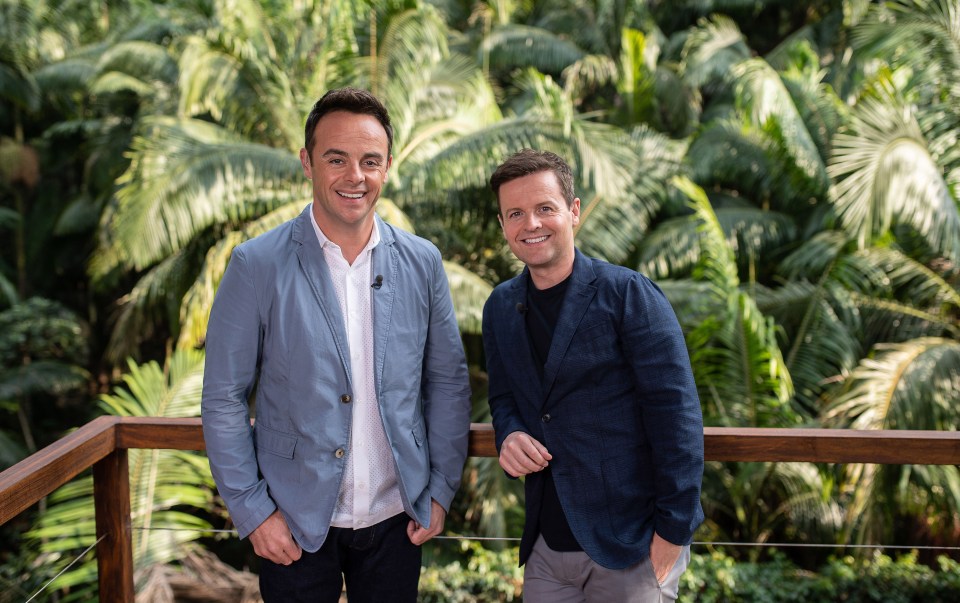 Ant and Dec are back in the Aussie jungle for the 2022 series of I'm A Celebrity