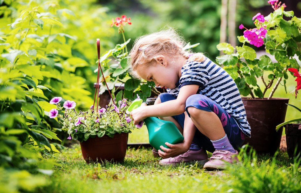 Children aged between five and 12 particularly enjoy watering the flowers, the study found