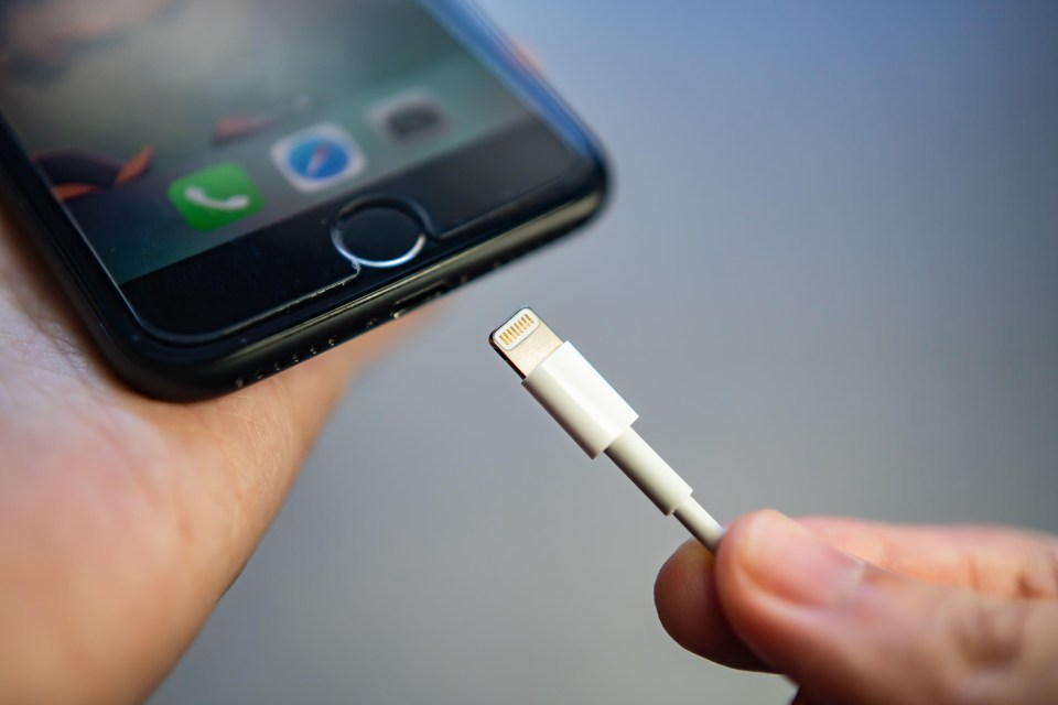 Dodgy iPhone cables are not worth the risk