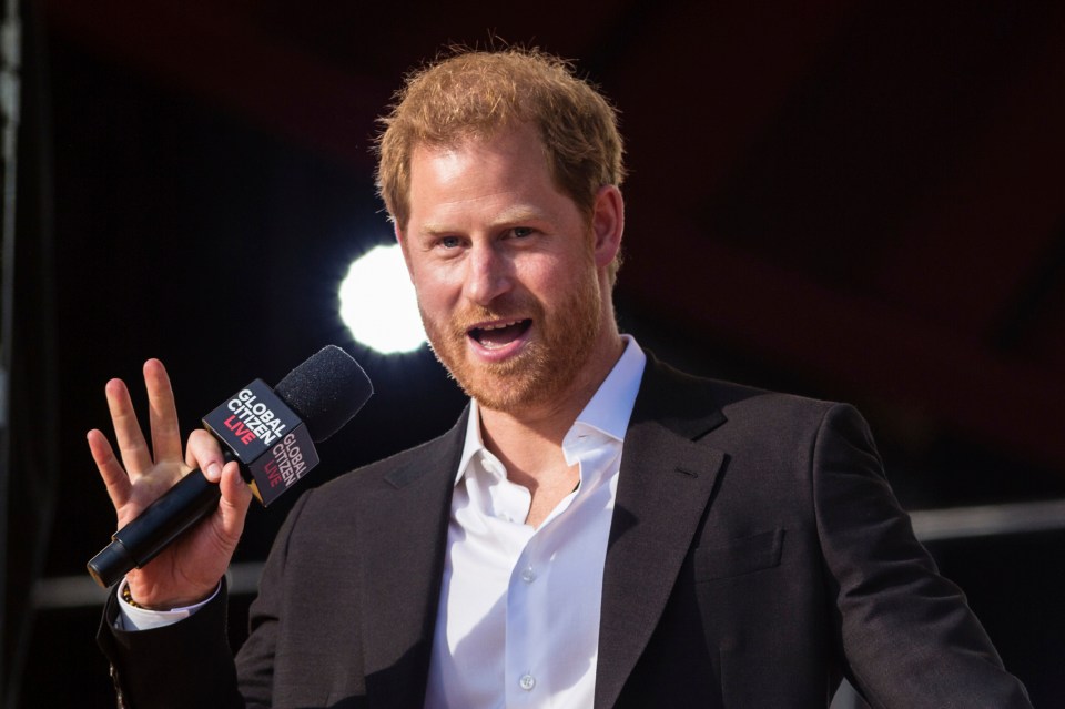 A former protection officer for Harry, William and Princess Diana says the Duke of Sussex would likely be safer in London than he would travelling to the Netherlands