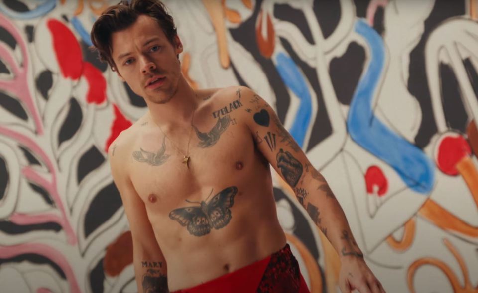 Harry showed off his toned body as he stripped down to boxers in the new video