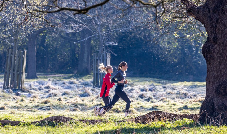 Joggers enjoy a frosty start to the day in Richmond Park in south-west London