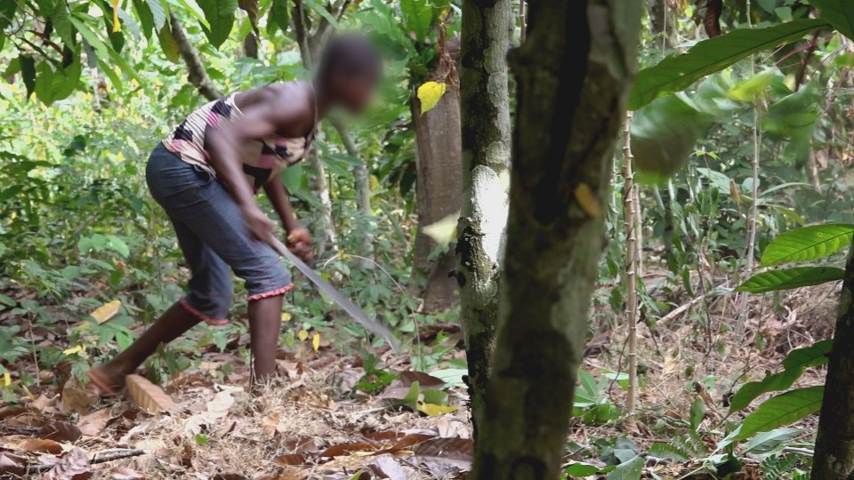 A young girl hacks through undergrowth with a huge machete