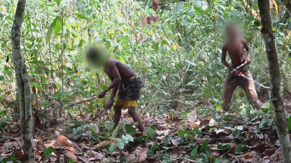 Two brothers, aged 10 and 11, weed with machetes