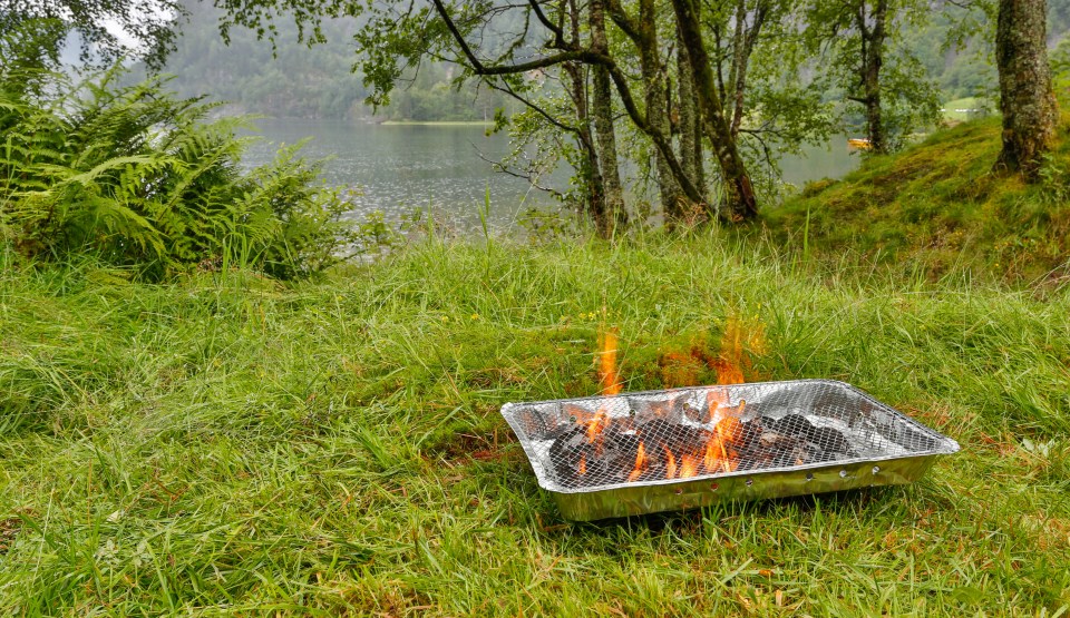 Disposable barbecues could face a nationwide ban after a major crackdown