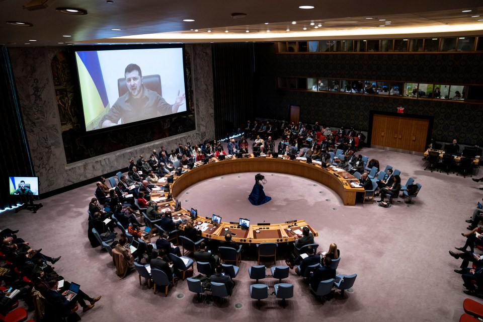 Zelensky spoke to the UN Security Council