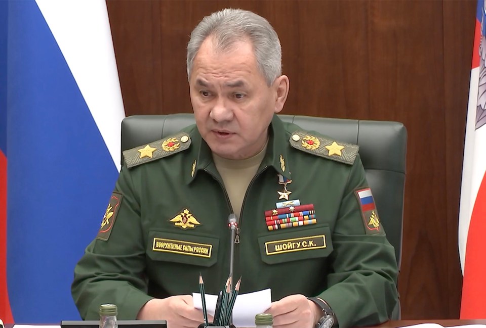 Russian Defence Minister Sergey Shoigu has sent one of his deputies to Pskov