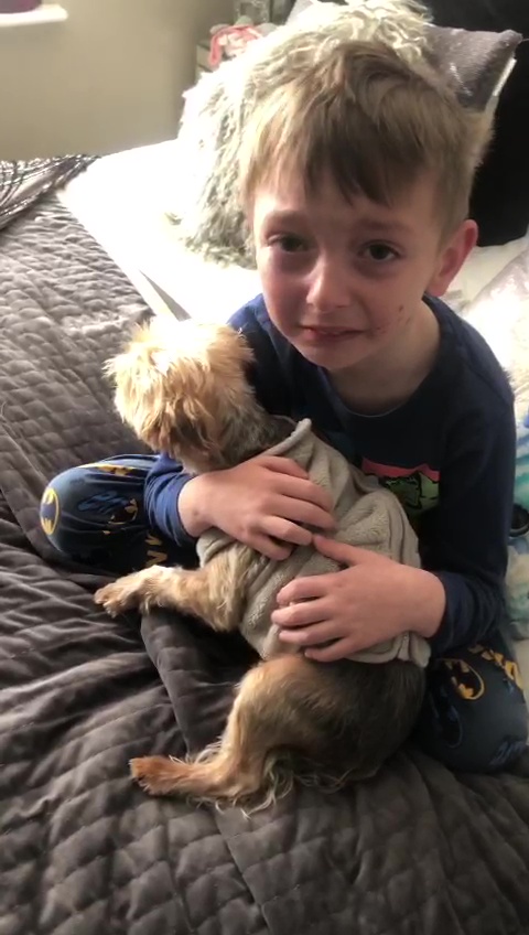 Hugo, 6, has been referred to counselling after dog Bobby was taken away