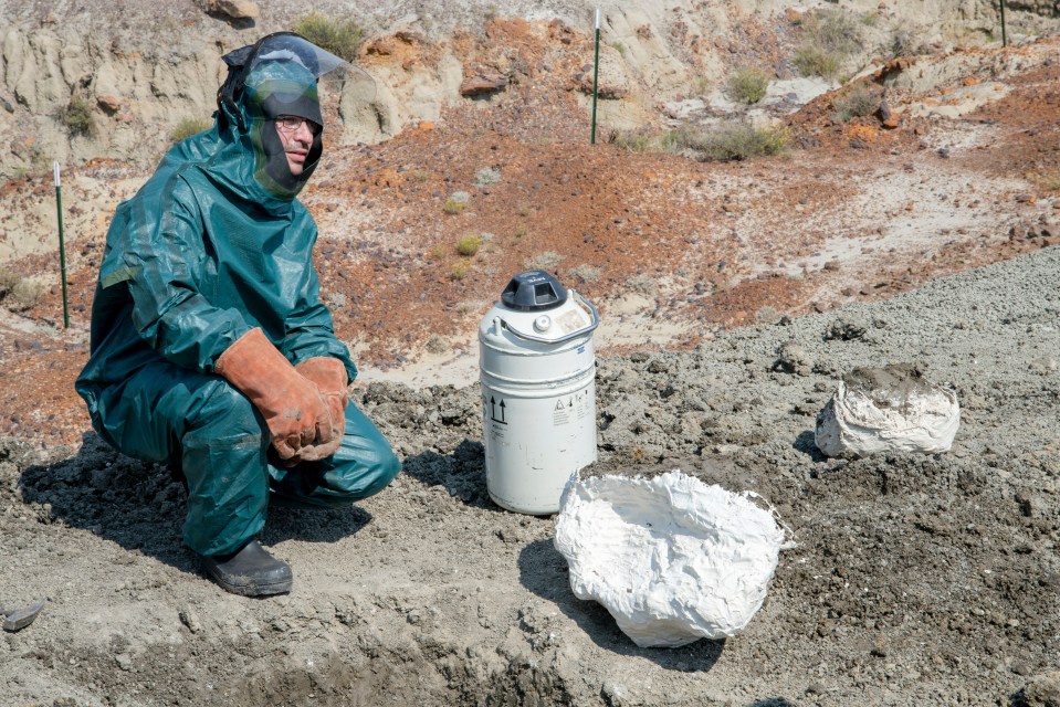 Robert's team used liquid nitrogen to help free the fossil of a turtle